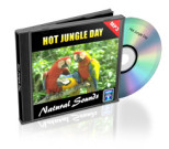 Hot_Jungle_Day